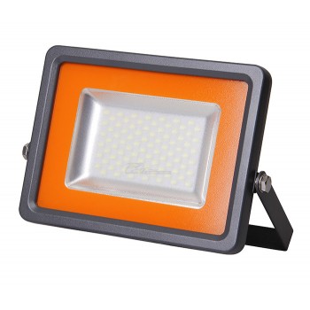 Прожектор светодиодный PFL-S2 SMD 30W/CW-GR Jazzway