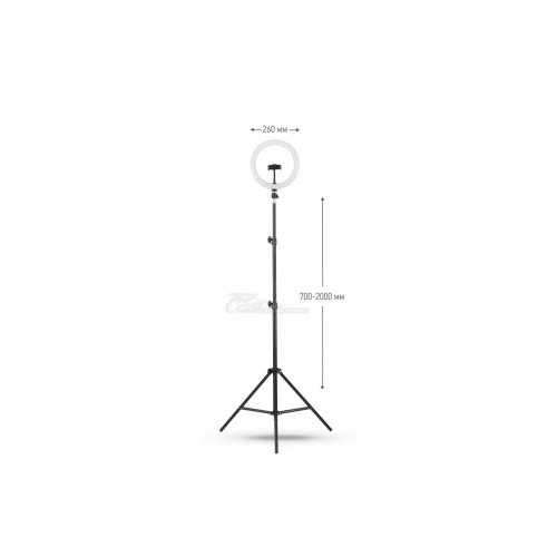 Светильник кольцевой напольный с креплением для телефона KD-810F C02