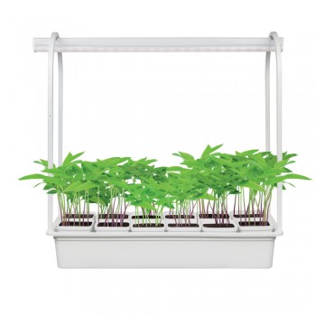 Подставка для светильника для рассады 570мм (+12 белых кашпо) металл UFP-G34S