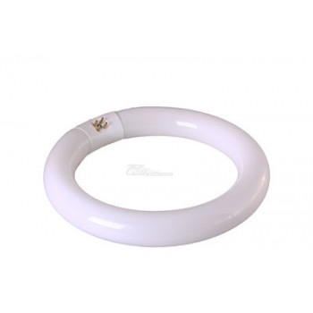 Лампа д/луп 31-0001  (G10q) 22W кольцеобразная REXANT