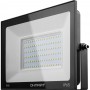 Прожектор светодиодный OFL-100 100W 6000k 8000лм IP65 черный Онлайт