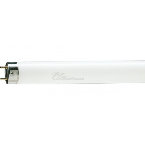Лампа люминесцентная TL-D18W/54-765 6200k G13 1025Лм Philips