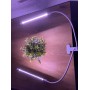 Светильник светодиодный для растений ULT-P33-15W/SPLE, на прищепке, спектр фотосинтез Uniel