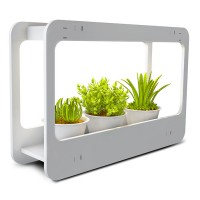 Подставка для цветов PMG 002LED 14W 4000K Jazzway