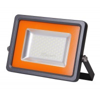 Прожектор светодиодный PFL-S2 SMD 30W/CW-GR Jazzway